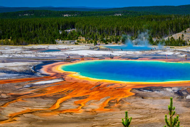 Grand Prismatic Spring A section of the Grand Prismatic Spring taken from the "Overlook" in Yellowstone National Park shows the spring with its unreal bright palette of colors. midway geyser basin stock pictures, royalty-free photos & images