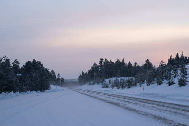 lapponia 17 - rear view winter blizzard nordic countries foto e immagini stock