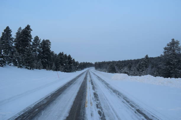 lapónia 15 - rear view winter blizzard nordic countries - fotografias e filmes do acervo