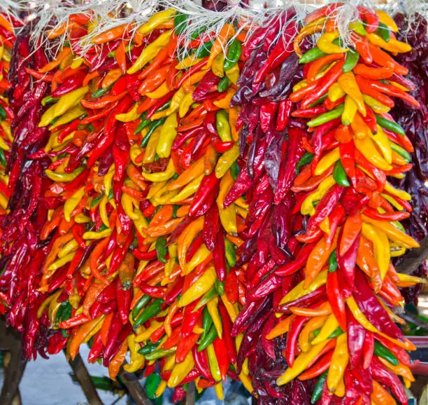 Multicolored chili pepper ristras hang together in Hatch, New Mexico.