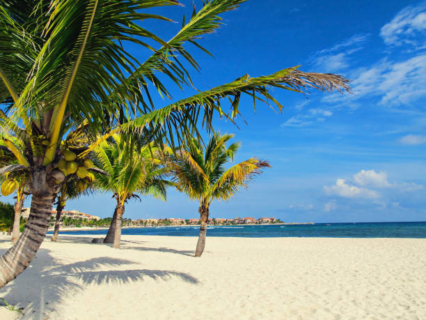 istock Idyllic tropical beach with turquoise water, Mayan Riviera, Mexico 934258682