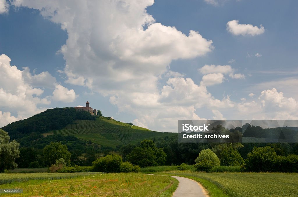 Landscape with Castle Lichtenberg  Architecture Stock Photo