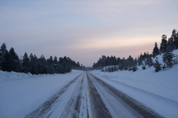 lapponia 16 - rear view winter blizzard nordic countries foto e immagini stock