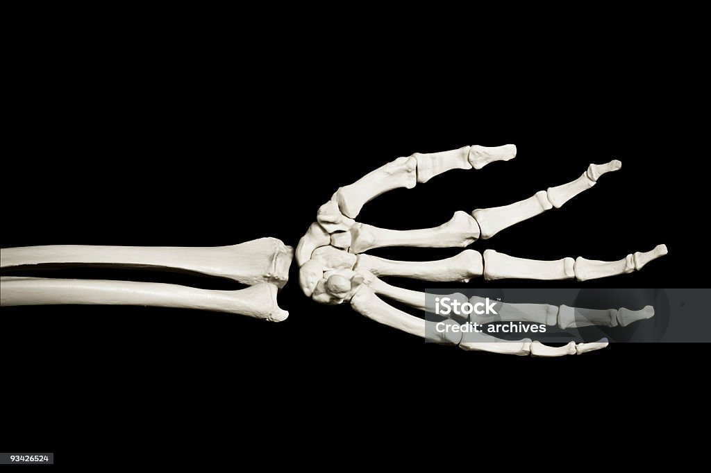 Кисти скелета - Стоковые фото Ад роялти-фри