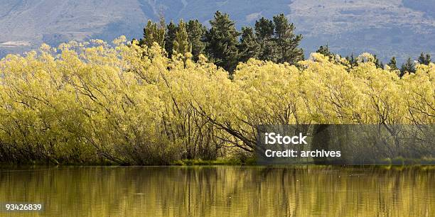 Dardo Vale Lezíria - Fotografias de stock e mais imagens de Ajardinado - Ajardinado, Ao Ar Livre, Beleza natural