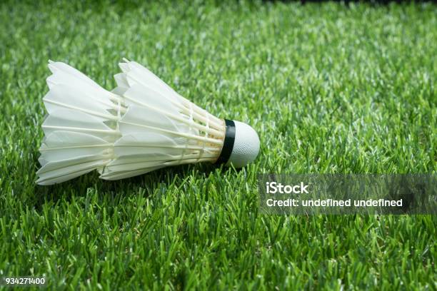 Badminton Ball On Glass Stock Photo - Download Image Now - Badminton - Sport, Shuttlecock, Badminton - Gloucestershire