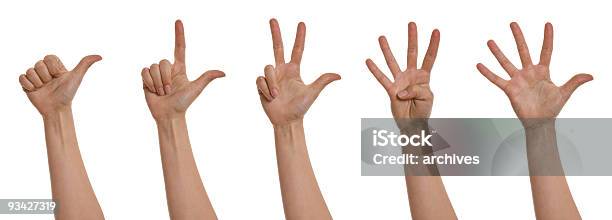 Zählen Hände Xxxl Stockfoto und mehr Bilder von Ziffer 3 - Ziffer 3, Vier Finger, High Five