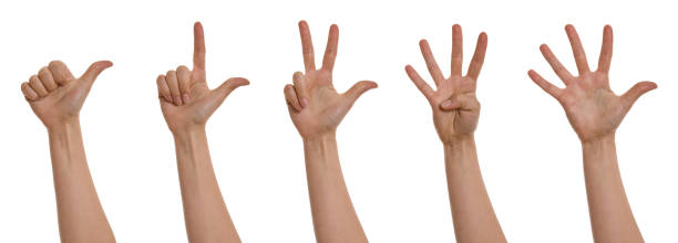 istock counting hands XXXL 93427319