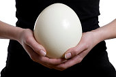 ostrich egg
