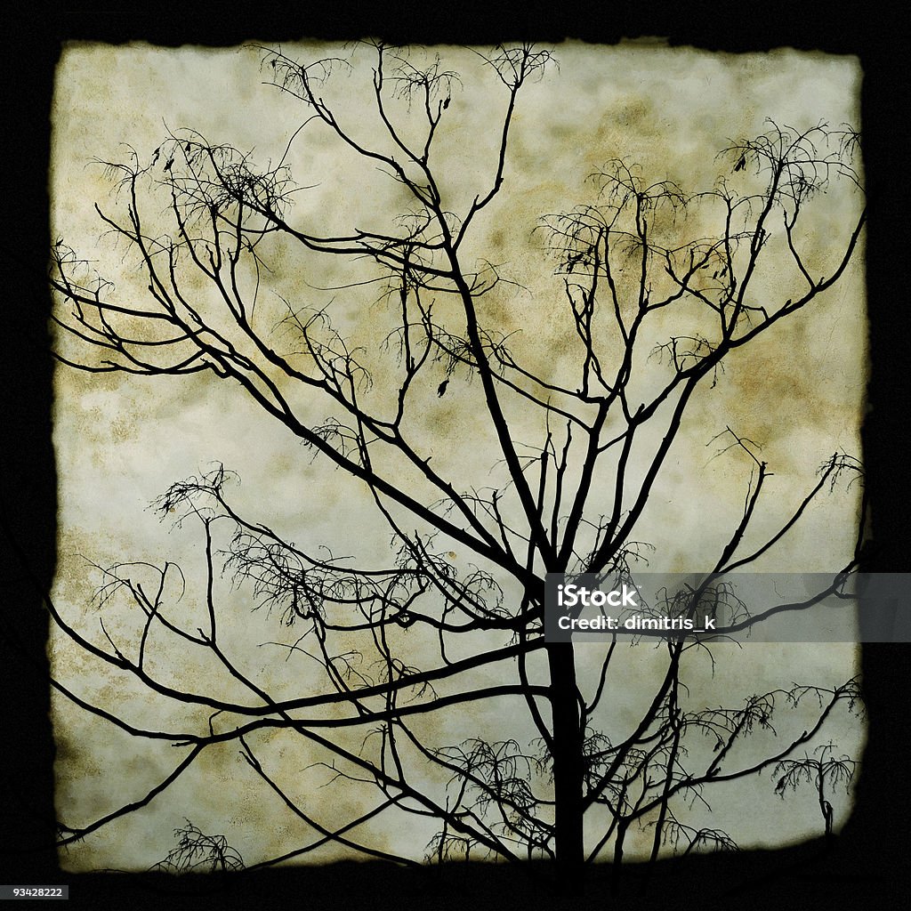 Siluetta di rami dell'albero - Foto stock royalty-free di Albero