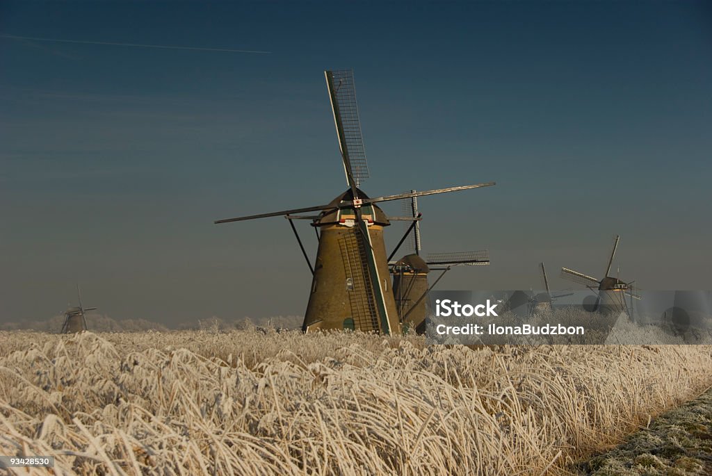Idílica invierno en Holanda - Foto de stock de Agricultura libre de derechos