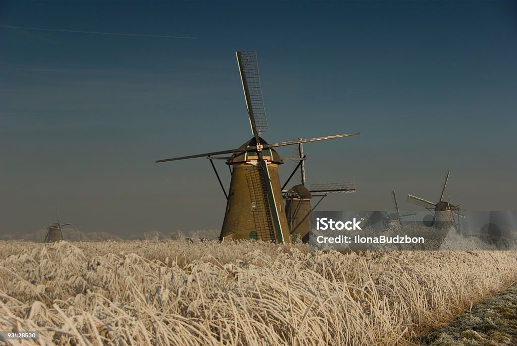 Idillio inverno in Olanda - Foto stock royalty-free di Agricoltura