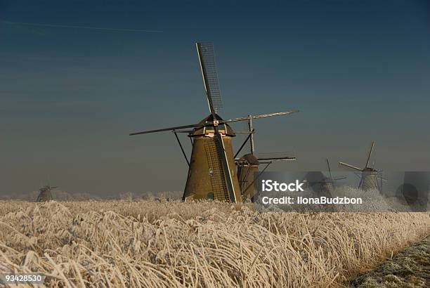 Foto de Idílica Inverno Na Holanda e mais fotos de stock de Agricultura - Agricultura, Azul, Branco