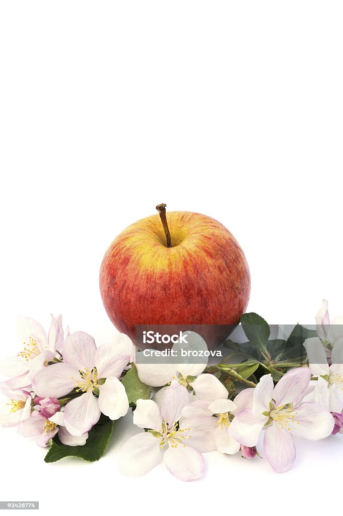 Pommes et apple Arbre en fleurs - Photo de Aliment libre de droits