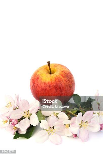 リンゴとリンゴの木の花 - おやつのストックフォトや画像を多数ご用意 - おやつ, まぶしい, オーガニック