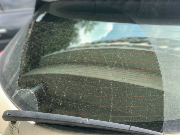 istock rear back wiper of the modern car 934295638