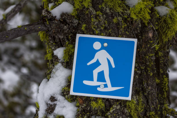 istock Sign indicated snowshoe trail on moss and snow-covered tree