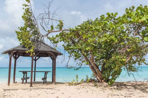 istock Guadeloupe, pink sand beach 934304314