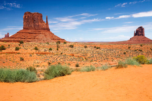 istock West and East Mitten Buttes in Monument Valley 934306910