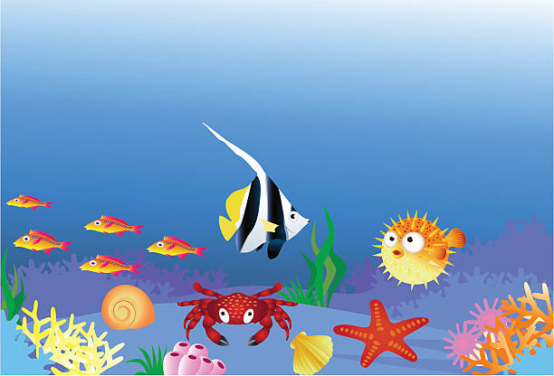 ภาพประกอบสต็อกที่เกี่ยวกับ “ชีวิตใต้ท้องทะเล - ปลาปักเป้า ปลาเขตร้อน”