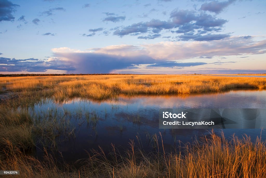 Etoscha ground caribou - Lizenzfrei Afrika Stock-Foto