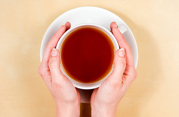 female hands holding cup of tea stock photo