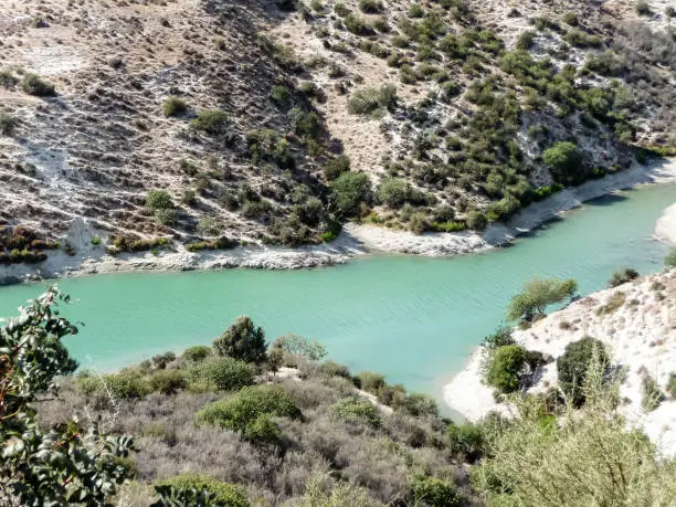 Muddy mountain winding green river in Cyprus, the banks are overgrown with trees and bushes