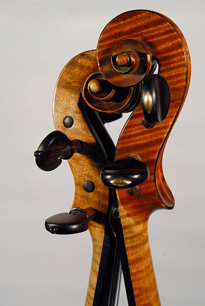 violin scroll stock photo