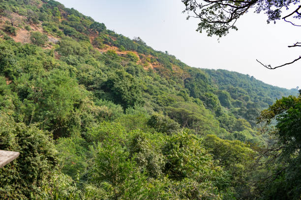 istock A greenery  mountain looking awesome with evergreen forest. 934336886