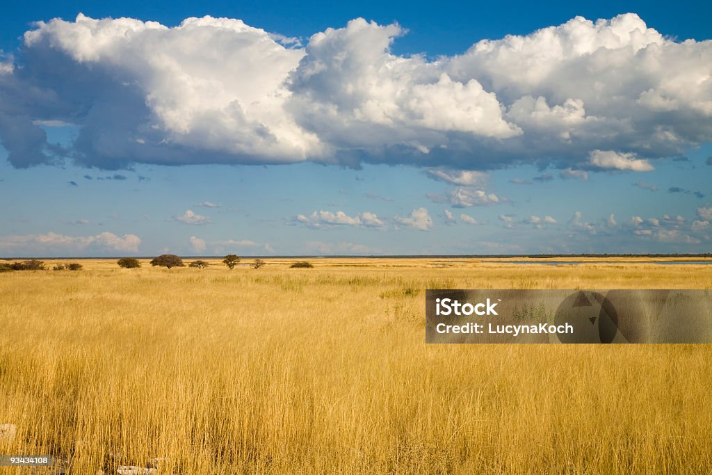 Landschaft d'Etosha - Photo de Afrique libre de droits