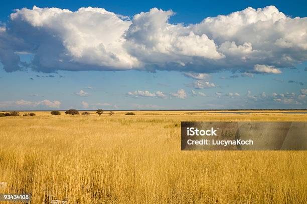 Photo libre de droit de Landschaft Detosha banque d'images et plus d'images libres de droit de Afrique - Afrique, Fonds de nuage, Herbe