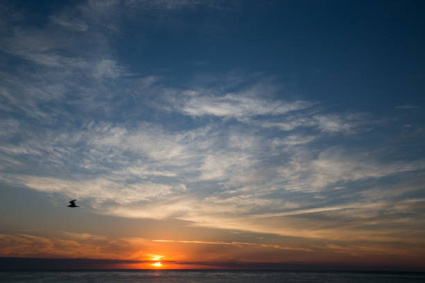istock Sunrise on the beach at Nags Head with clouds 934354580