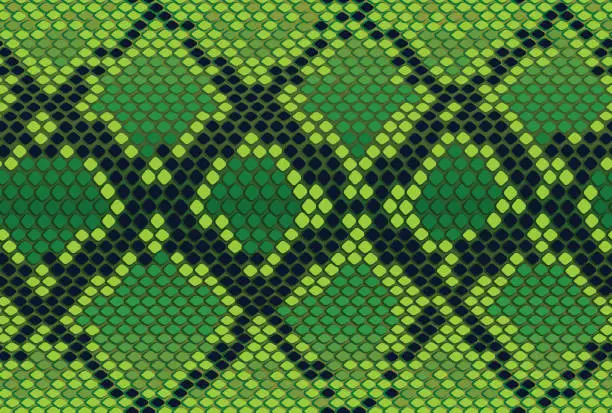Vector illustration of Seamless texture with a reptile skin, snake skin