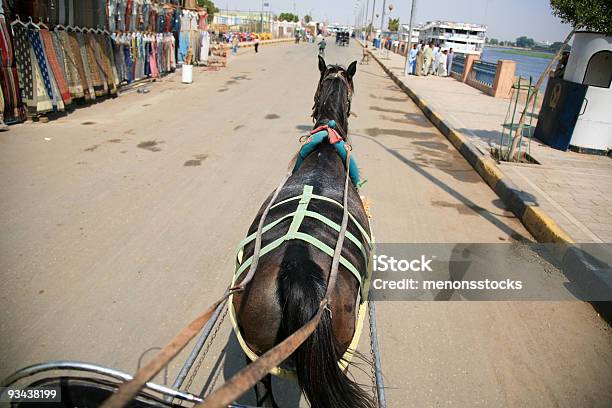 Horse Cart Stock Photo - Download Image Now - Animal, Black Color, Carriage