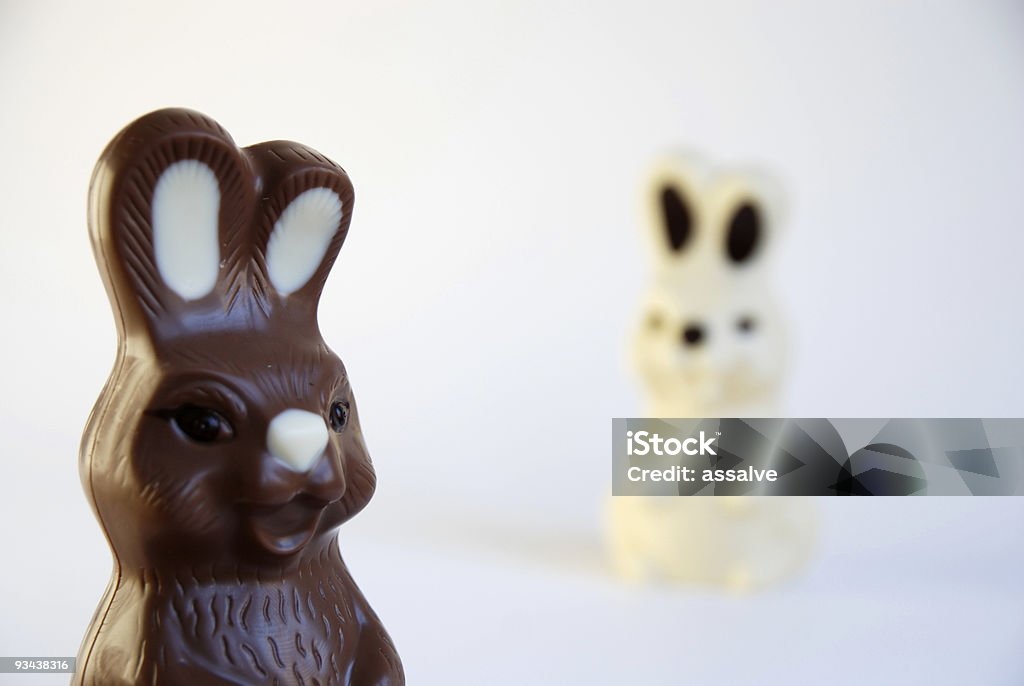 black and white easter bunnies  Animal Stock Photo