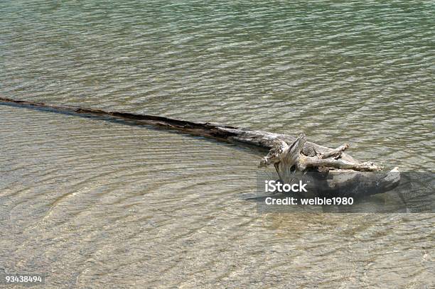 Holz Aquatic Bacterium Stockfoto und mehr Bilder von Ast - Pflanzenbestandteil - Ast - Pflanzenbestandteil, Braun, Farbbild