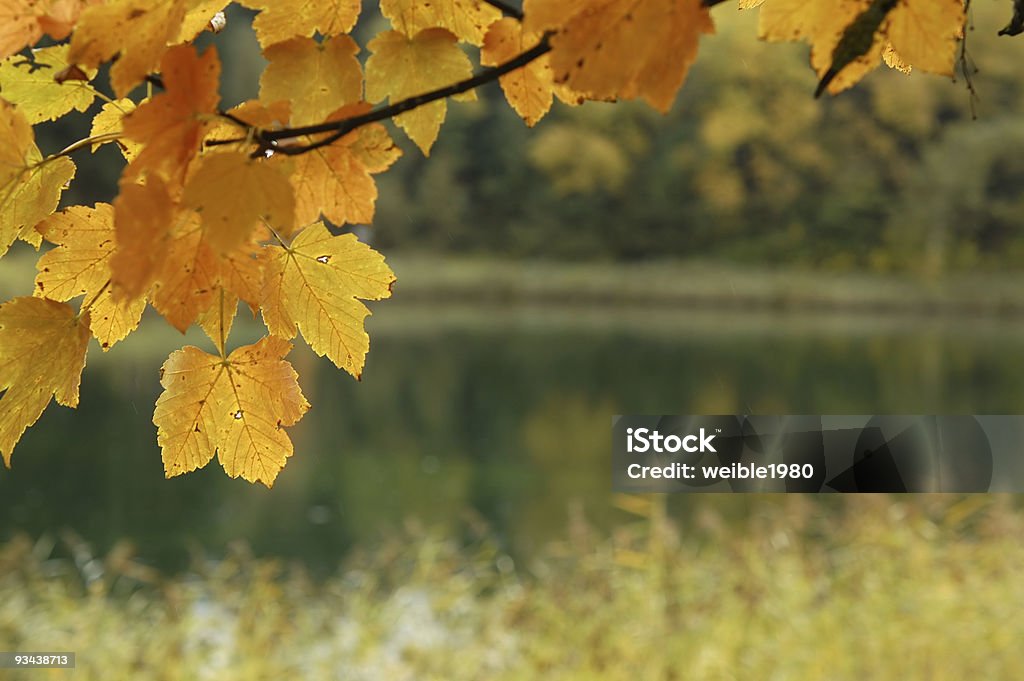 Herbst Blätter in der Nähe lake - Lizenzfrei Herbst Stock-Foto