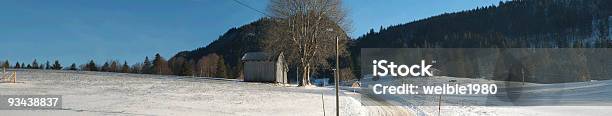 Winterpanorama Stockfoto und mehr Bilder von Agrarbetrieb - Agrarbetrieb, Baum, Dezember