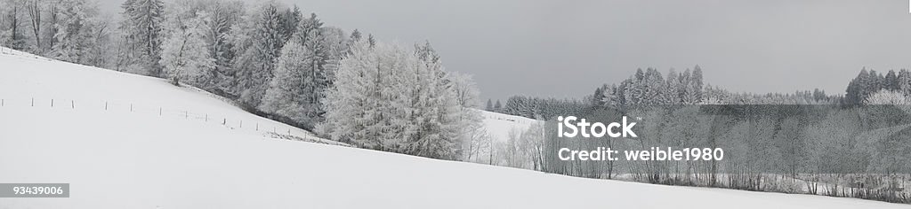 Winter Panorama (XL - Lizenzfrei Aktivitäten und Sport Stock-Foto