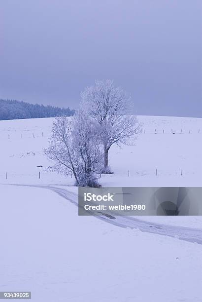 Winter Stockfoto und mehr Bilder von Abgeschiedenheit - Abgeschiedenheit, Baum, Bildhintergrund