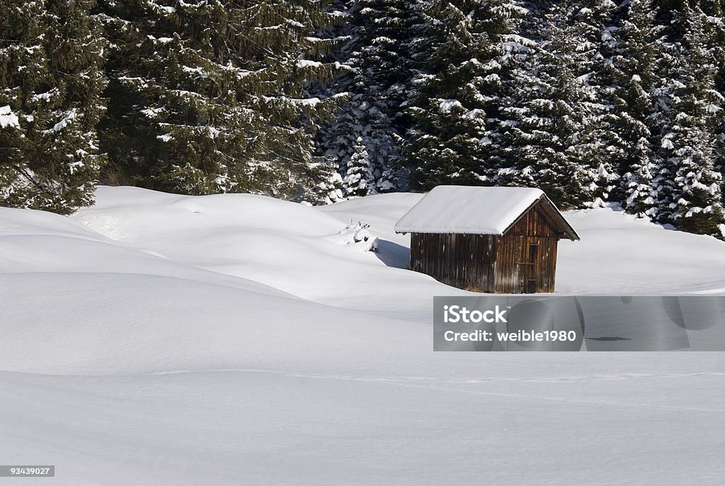 Winter Forest - Lizenzfrei Alpen Stock-Foto
