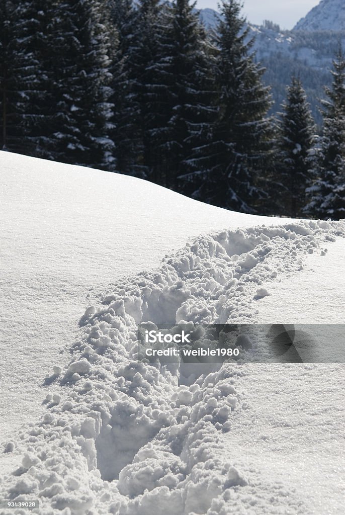 Zu Fuß durch den Schnee - Lizenzfrei Berg Stock-Foto