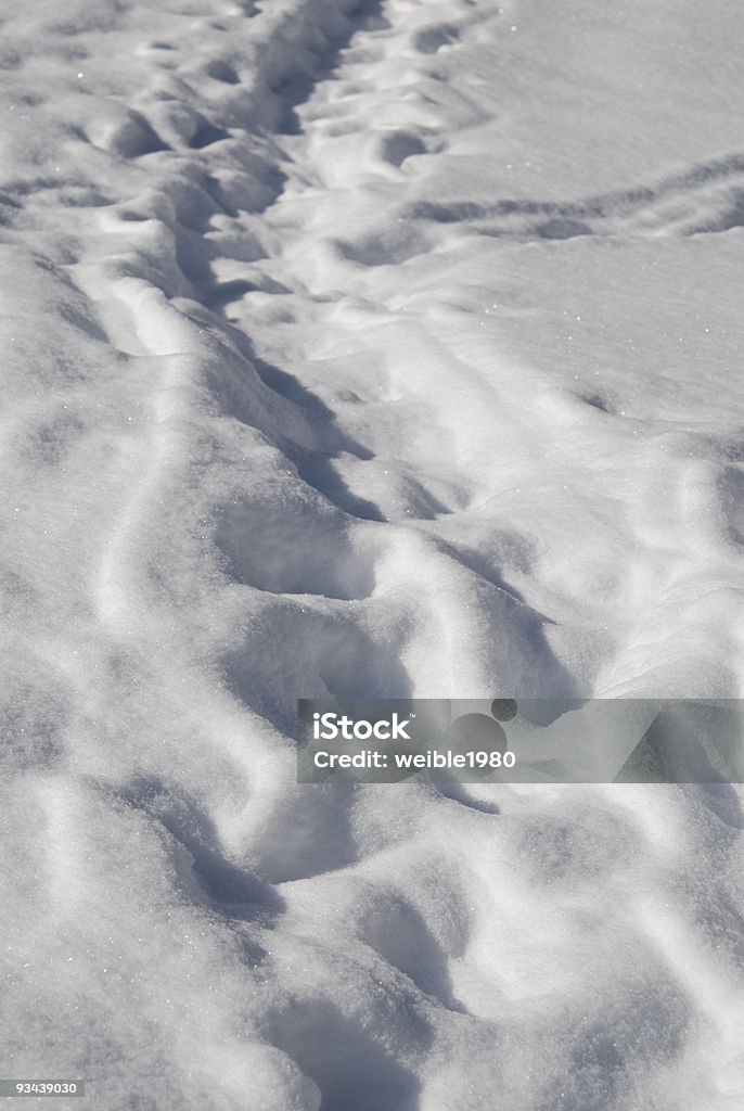 Zu Fuß durch den Schnee - Lizenzfrei Berg Stock-Foto