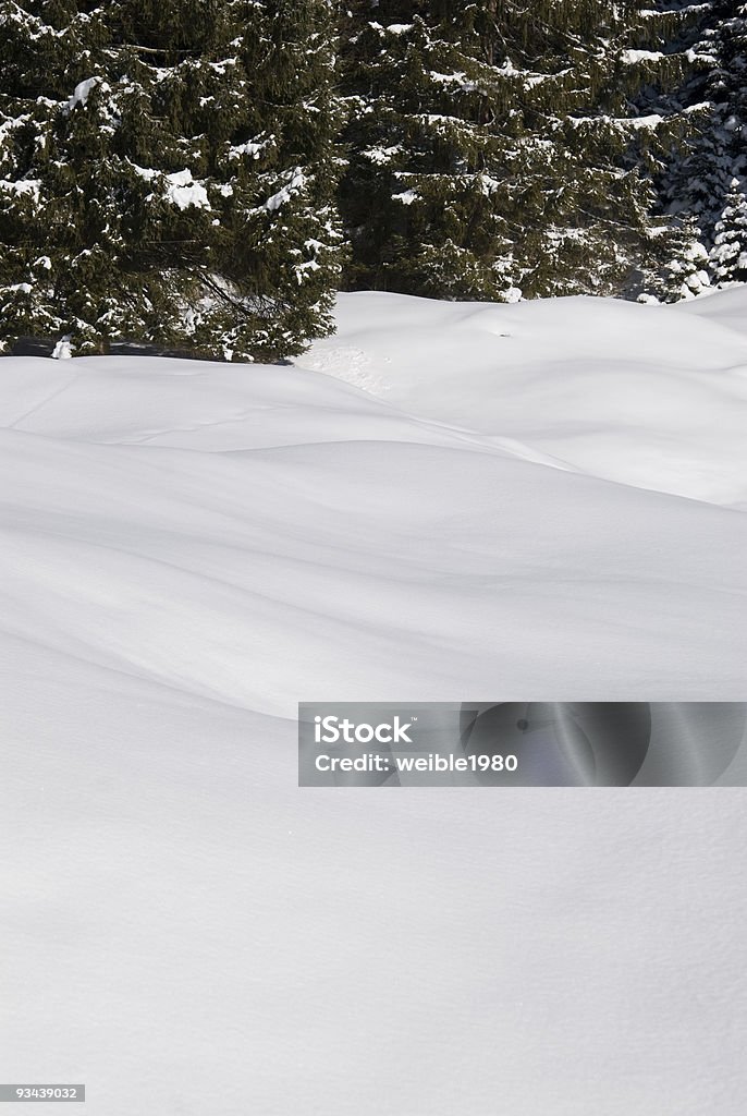 Fresh Schnee - Lizenzfrei Ast - Pflanzenbestandteil Stock-Foto