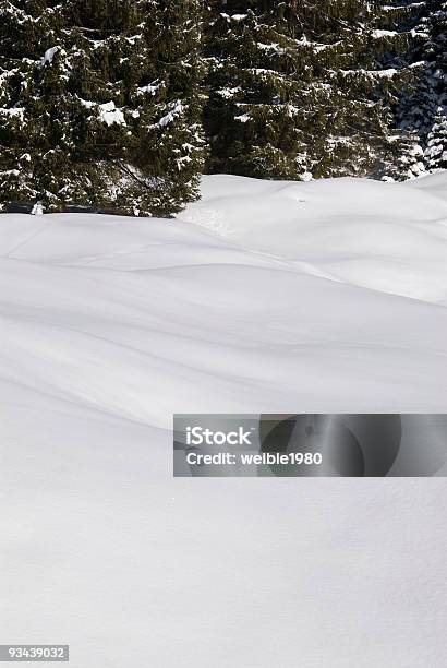 Fresh Schnee Stockfoto und mehr Bilder von Ast - Pflanzenbestandteil - Ast - Pflanzenbestandteil, Baum, Berg