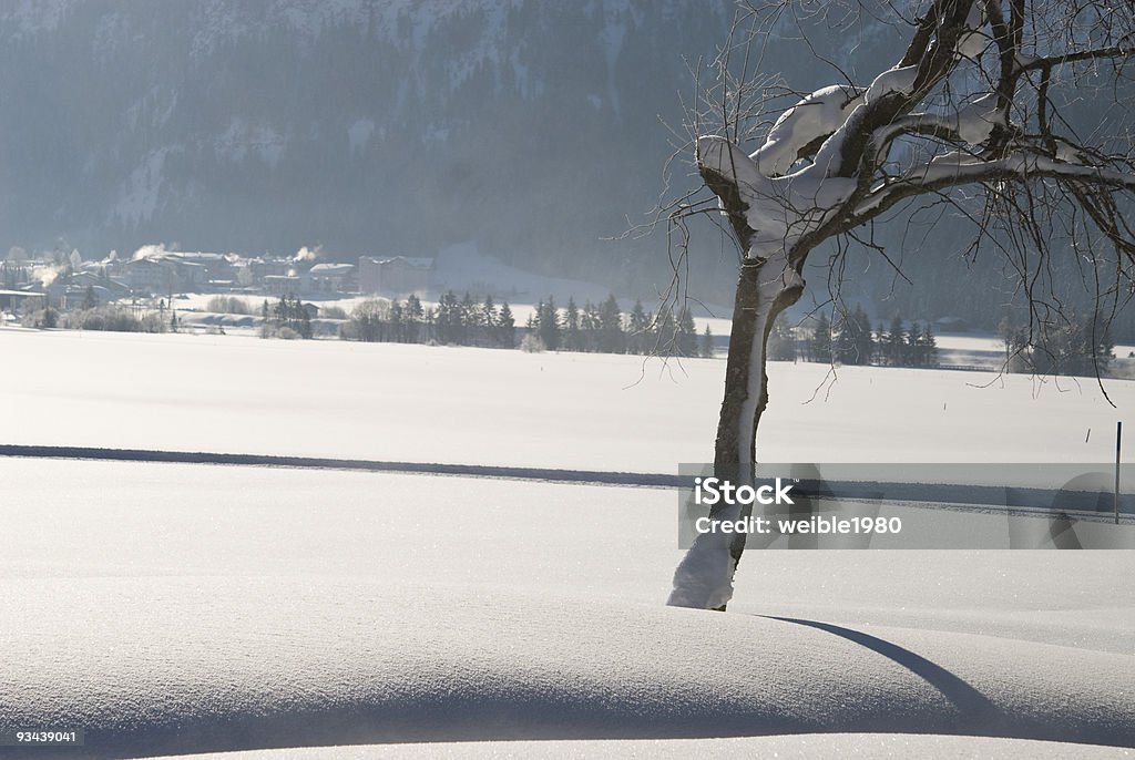 Baum im winter snow - Lizenzfrei Anhöhe Stock-Foto