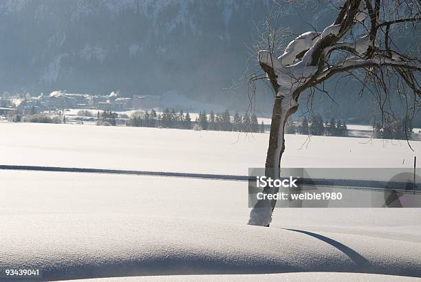 Baum Im Winter Snow Stockfoto und mehr Bilder von Anhöhe - Anhöhe, Bildhintergrund, Blau
