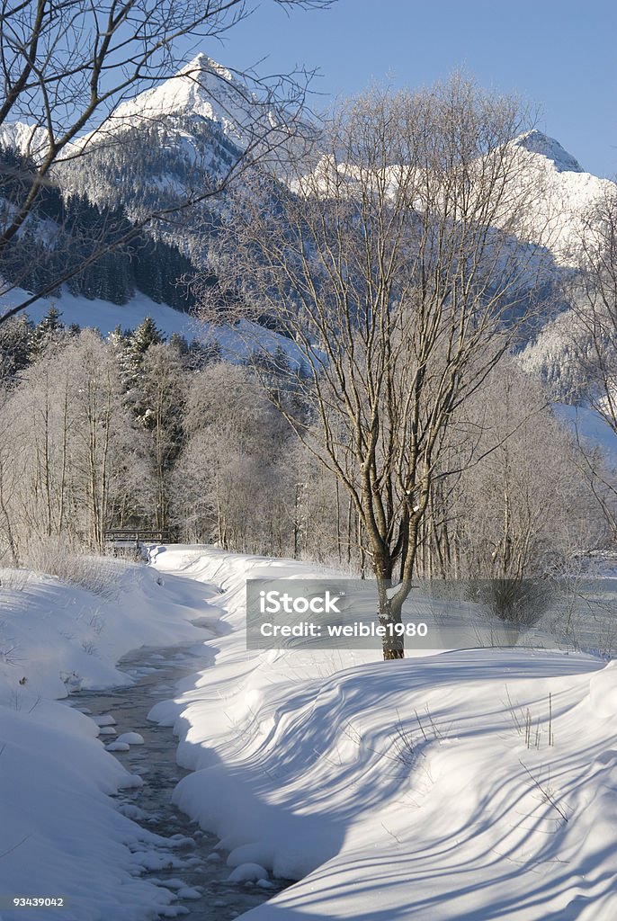 Kleiner Fluss im winter - Lizenzfrei Ast - Pflanzenbestandteil Stock-Foto