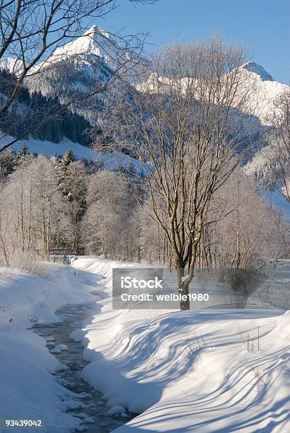 Kleiner Fluss Im Winter Stockfoto und mehr Bilder von Ast - Pflanzenbestandteil - Ast - Pflanzenbestandteil, Berg, Bundesland Tirol