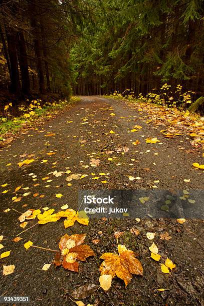 Photo libre de droit de Route Dautomne banque d'images et plus d'images libres de droit de Arbre - Arbre, Automne, Beauté de la nature